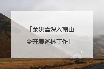 余洪雷深入南山乡开展巡林工作