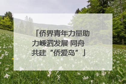 侨界青年力量助力嵊泗发展 同舟共建“侨爱岛”