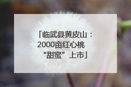 临武县黄皮山：2000亩红心桃“甜蜜”上市