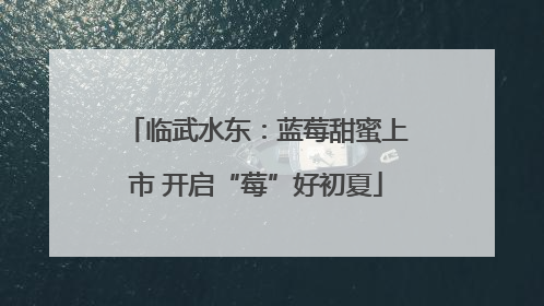 临武水东：蓝莓甜蜜上市 开启“莓”好初夏