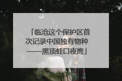 临沧这个保护区首次记录中国独有物种——黑顶蛙口夜鹰