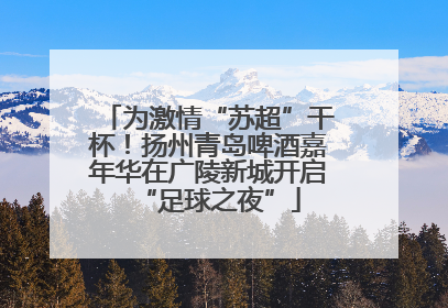为激情“苏超”干杯！扬州青岛啤酒嘉年华在广陵新城开启“足球之夜”