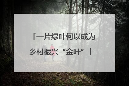 一片绿叶何以成为乡村振兴“金叶”