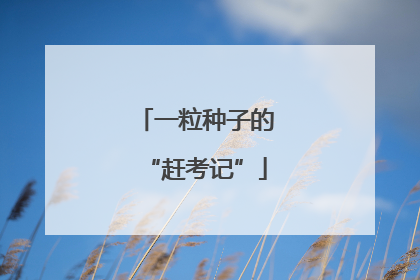 一粒种子的“赶考记”