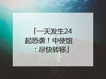 一天发生24起恐袭！中使馆：尽快转移