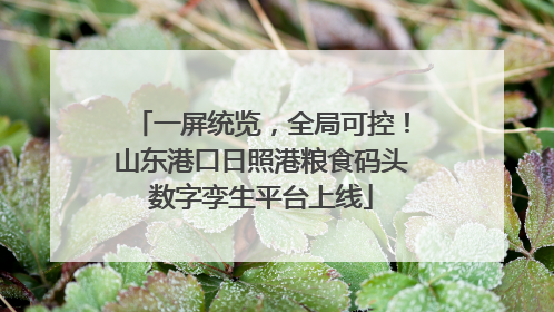 一屏统览，全局可控！山东港口日照港粮食码头数字孪生平台上线