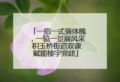 一招一式强体魄，一镜一景展风采 积玉桥街道双课赋能楼宇党建