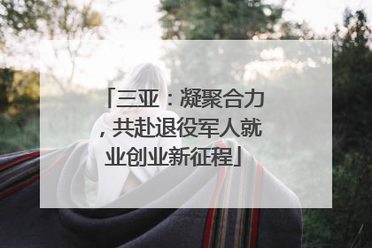 三亚：凝聚合力，共赴退役军人就业创业新征程