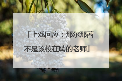 上戏回应：那尔那茜不是该校在聘的老师