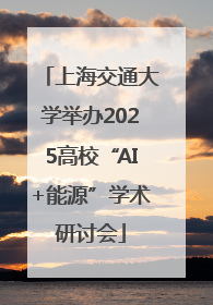 上海交通大学举办2025高校“AI+能源”学术研讨会