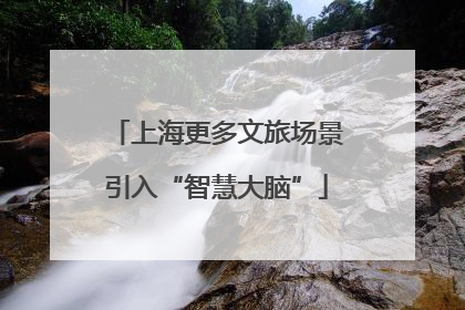 上海更多文旅场景引入“智慧大脑”