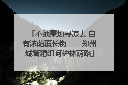 不须秉烛寻凉去 自有浓荫覆长街——郑州城管精细呵护林荫路