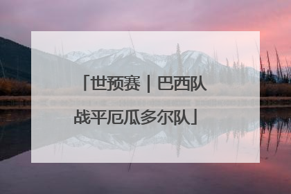 世预赛｜巴西队战平厄瓜多尔队