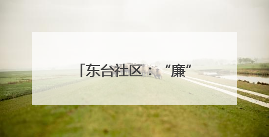 东台社区：“廉”味端午 党群情浓