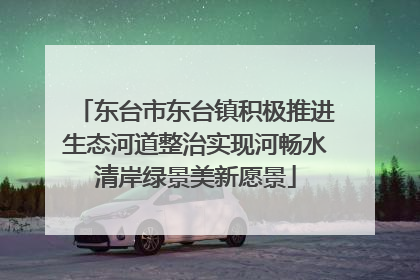 东台市东台镇积极推进生态河道整治实现河畅水清岸绿景美新愿景