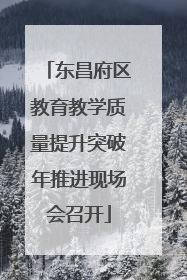 东昌府区教育教学质量提升突破年推进现场会召开