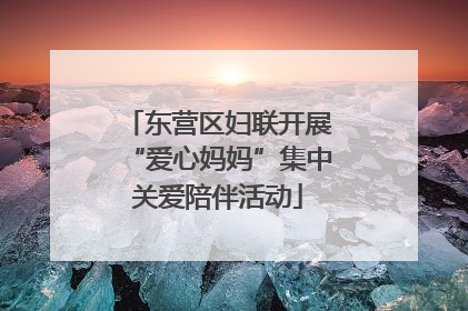 东营区妇联开展“爱心妈妈”集中关爱陪伴活动