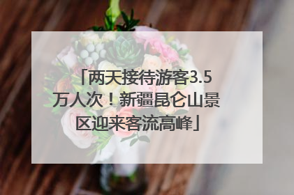 两天接待游客3.5万人次！新疆昆仑山景区迎来客流高峰