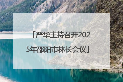 严华主持召开2025年邵阳市林长会议