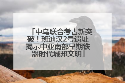 中乌联合考古新突破！班迪汉2号遗址揭示中亚南部早期铁器时代城邦文明