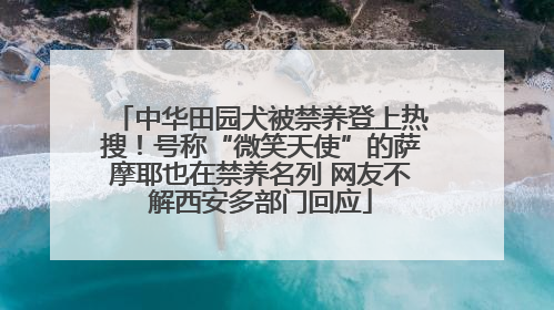中华田园犬被禁养登上热搜！号称“微笑天使”的萨摩耶也在禁养名列 网友不解西安多部门回应