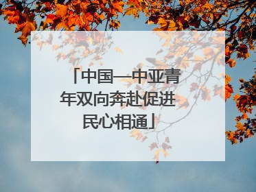 中国—中亚青年双向奔赴促进民心相通