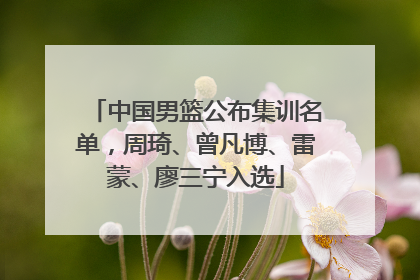 中国男篮公布集训名单，周琦、曾凡博、雷蒙、廖三宁入选