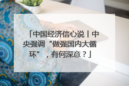 中国经济信心说丨中央强调“做强国内大循环”，有何深意？