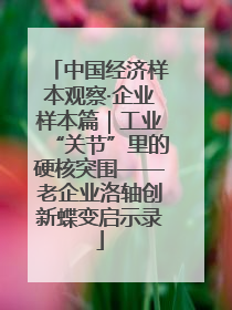 中国经济样本观察·企业样本篇｜工业“关节”里的硬核突围——老企业洛轴创新蝶变启示录