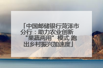 中国邮储银行菏泽市分行：助力农业创新 “果蔬两用”模式 跑出乡村振兴加速度