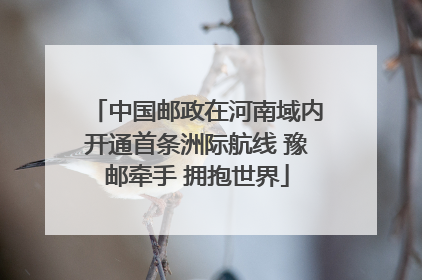 中国邮政在河南域内开通首条洲际航线 豫邮牵手 拥抱世界