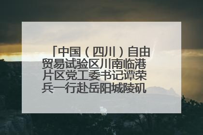 中国（四川）自由贸易试验区川南临港片区党工委书记谭荣兵一行赴岳阳城陵矶综保区考察