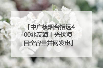 中广核烟台招远400兆瓦海上光伏项目全容量并网发电