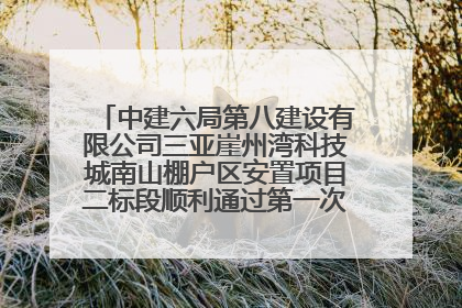中建六局第八建设有限公司三亚崖州湾科技城南山棚户区安置项目二标段顺利通过第一次主体结构验收