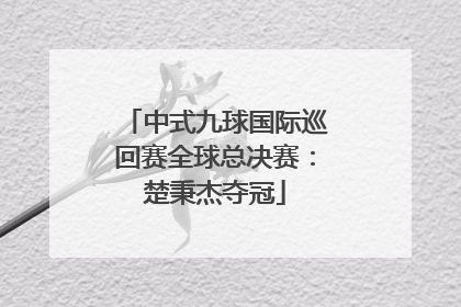 中式九球国际巡回赛全球总决赛：楚秉杰夺冠