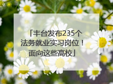 丰台发布235个法务就业实习岗位！面向这些高校