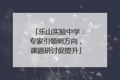 乐山实验中学：专家引领明方向，课题研讨促提升
