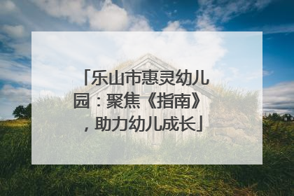 乐山市惠灵幼儿园：聚焦《指南》，助力幼儿成长