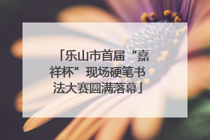 乐山市首届“嘉祥杯”现场硬笔书法大赛圆满落幕