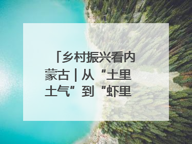 乡村振兴看内蒙古｜从“土里土气”到“虾里虾气” 一田双收模式火出圈