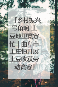 乡村振兴号角响 土豆地里竞赛忙｜曲阜市王庄镇开展土豆收获劳动竞赛