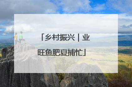 乡村振兴｜业旺鱼肥夏捕忙