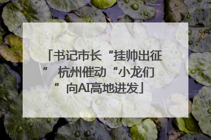 书记市长“挂帅出征” 杭州催动“小龙们”向AI高地进发