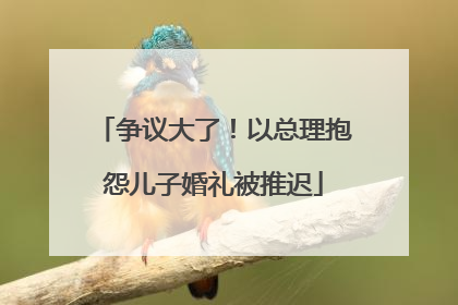 争议大了！以总理抱怨儿子婚礼被推迟