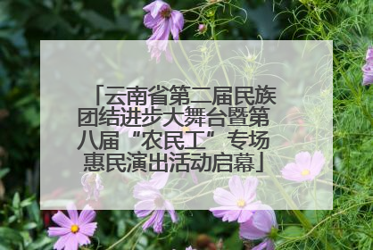 云南省第二届民族团结进步大舞台暨第八届“农民工”专场惠民演出活动启幕
