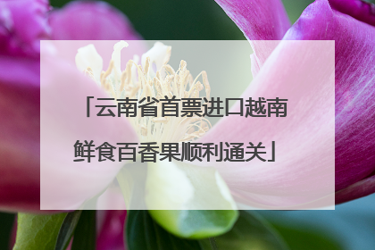 云南省首票进口越南鲜食百香果顺利通关