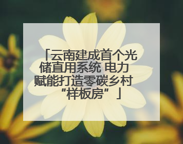 云南建成首个光储直用系统 电力赋能打造零碳乡村“样板房”