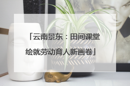 云南景东：田间课堂绘就劳动育人新画卷
