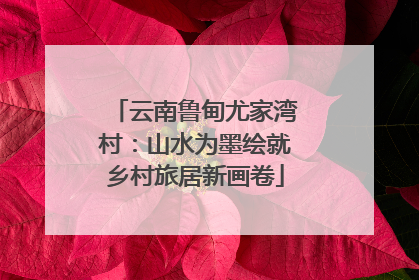 云南鲁甸尤家湾村：山水为墨绘就乡村旅居新画卷
