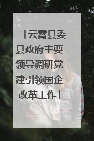 云霄县委县政府主要领导调研党建引领国企改革工作